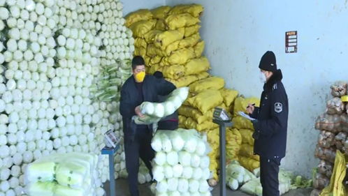 惠民菜民心菜 七台河市2月23日起对五种蔬菜实行价格补贴