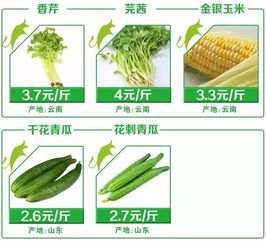 10月18号广州江南市场牛食草精品泡沫箱蔬菜报价